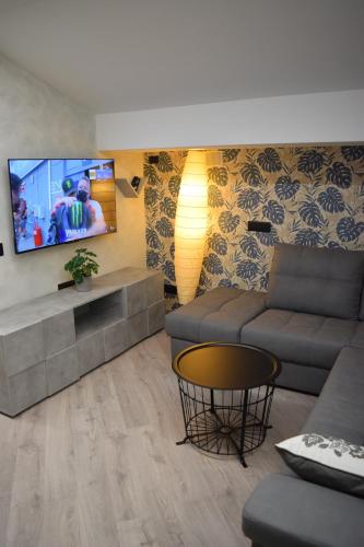 sala de estar con sofá y TV de pantalla plana en Baita Valtellina. Relax nel cuore delle Alpi, en Grosio