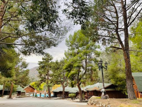 Whispering Pines Lodge – Photos 5