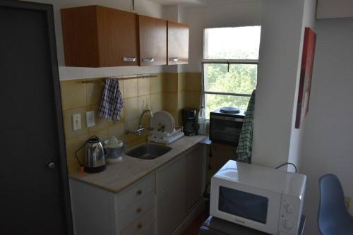 una pequeña cocina con fregadero y microondas en Apartamento en Cordón Soho en Montevideo