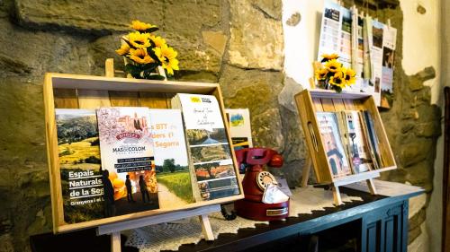 a display of books on a table with flowers at Cal Belló Casa rural in Lleida