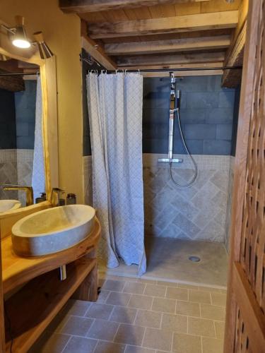 a bathroom with a sink and a shower at L'Attegia Lia in Joinville