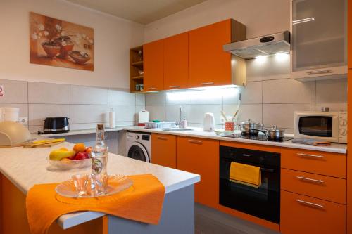 Kuchyň nebo kuchyňský kout v ubytování Apartment Nina-bazen-klima-parking