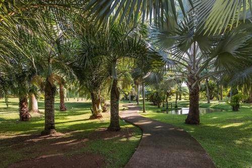 Gallery image of Écrin verdure à quelques minutes des plages in Quartier Coulée dʼOr