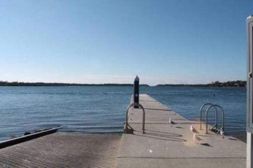 a group of birds standing on a dock near the water at Relaxing cottage overlooking Crookhaven River in Greenwell Point