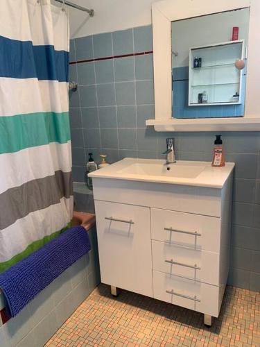 a bathroom with a sink and a mirror and a shower at Relaxing cottage overlooking Crookhaven River in Greenwell Point