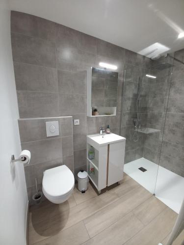 une salle de bain avec toilettes, douche et lavabo dans l'établissement Gîtes & SPA du bien-être - Logement cosy à la campagne - ACCES SPA EN SUPPLEMENT, à Courgains