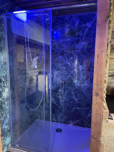 - une douche avec une porte en verre dans la chambre dans l'établissement Casawellness nuit insolite avec jacuzzi, à Floreffe