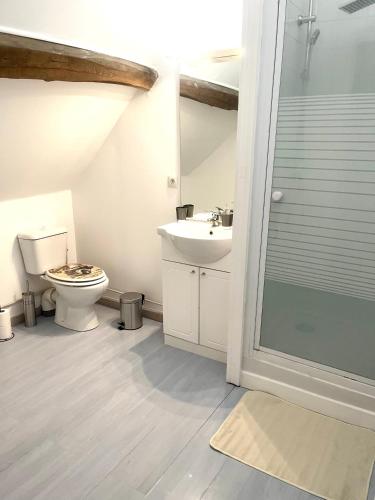 une salle de bain avec toilettes, lavabo et douche dans l'établissement Chablis: grand studio en plein centre ville, à Chablis