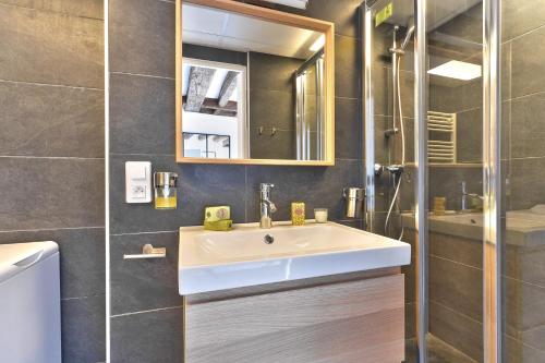 une salle de bain avec un lavabo, un miroir et une douche dans l'établissement Cosy and New Studio in the Heart of Paris (5F), à Paris