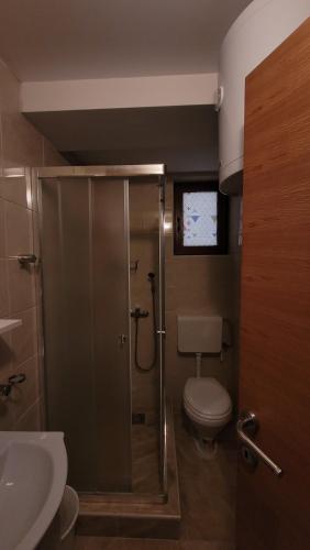 a bathroom with a shower with a toilet and a sink at Apartmani Pavlović in Kopaonik