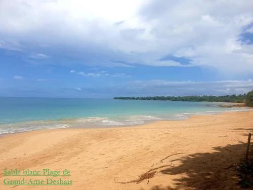 a view of a sandy beach with the ocean at Villa Campêche in Bouillante