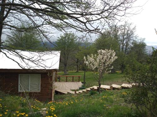 Φυσικό τοπίο κοντά σε αυτό το σαλέ