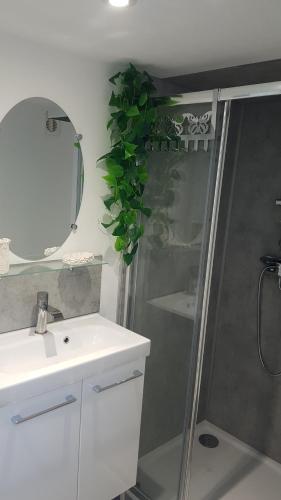 uma casa de banho com um chuveiro, um lavatório e um espelho. em gite sous l'olivier em Marselha