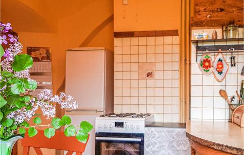 Kuchyň nebo kuchyňský kout v ubytování Amazing Home In Skape With Kitchen