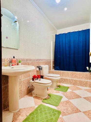 a bathroom with a toilet and a sink with green rugs at Garden Guest House in Lisbon