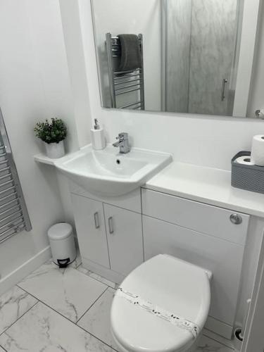 a white bathroom with a toilet and a sink at Glenbervie - Beautifully refurbished, self-contained apartment in Fife