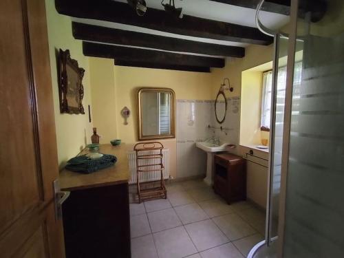 a bathroom with a sink and a counter top at Longère Bretagne in Réminiac