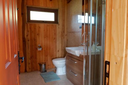 a bathroom with a toilet and a sink and a window at Las Bandurrias Eco Hostal in Cochamó