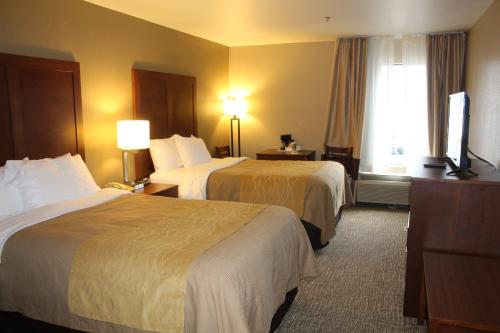 ブリストルにあるBristol Arcadia Innのベッド2台とテレビが備わるホテルルームです。
