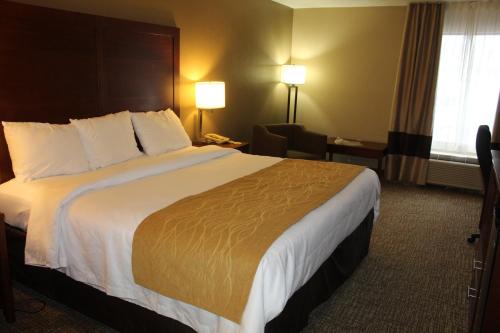a hotel room with a large bed and a chair at Bristol Arcadia Inn in Bristol