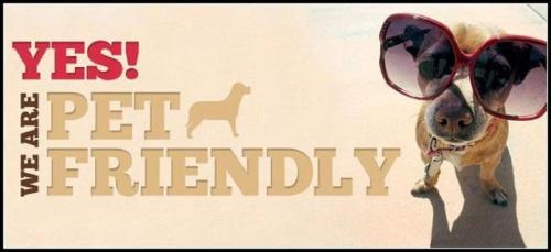 a dog with sunglasses on its face with the words pet friendly at Boomer Beach Retreat- Pet and Family Friendly in Port Elliot