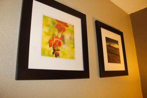 two framed pictures hanging on a wall at Bristol Arcadia Inn in Bristol