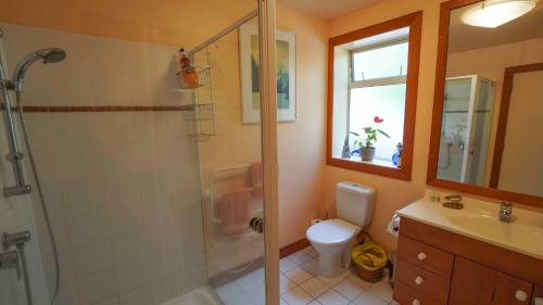 a bathroom with a shower and a toilet and a sink at Hokianga Haven in Opononi