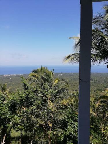 a pole with palm trees and the ocean in the background at The balcony of the camiguin island in Mambajao