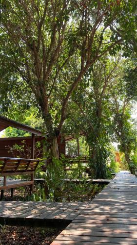 Landskap semula jadi dekat dengan rumah tamu ini