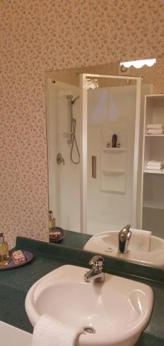 a bathroom with a sink and a mirror at Century House B & B flatlette in Oamaru