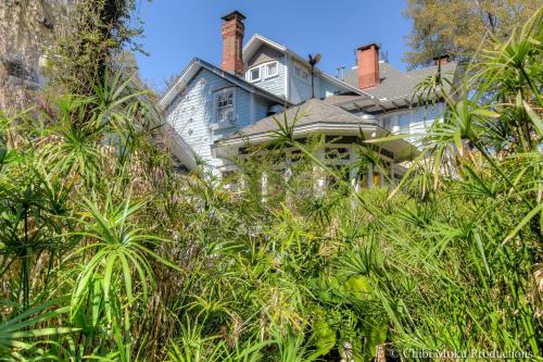 a house obscured by trees and bushes at Sweetwater Branch Inn in Gainesville
