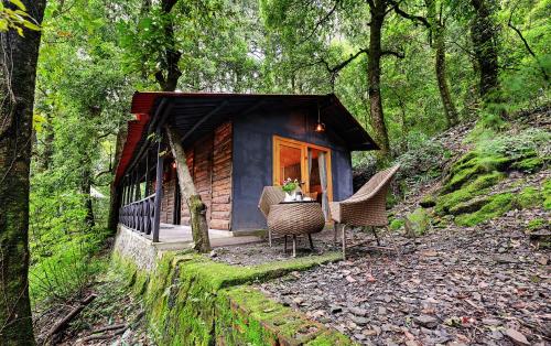 a small cabin in the woods with two chairs at Ayar Jungle Resort in Nainital