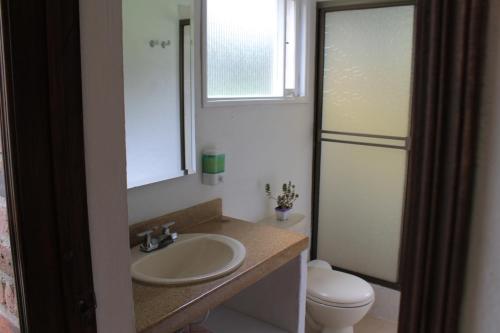 a bathroom with a sink and a toilet and a mirror at Villa La F in Guasca