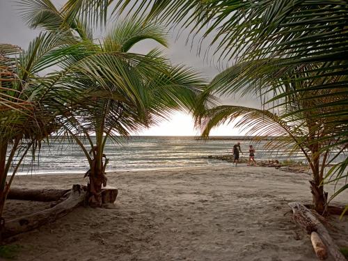 zwei Menschen gehen an einem Strand mit Palmen in der Unterkunft Cabañas Cigua in Coveñas