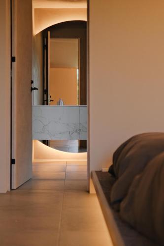 a bedroom with a mirror and a bed in a room at hotel norm air in Fujikawaguchiko