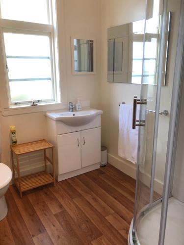 a bathroom with a sink and a shower at Art Deco No. 2 Apartment in Picton