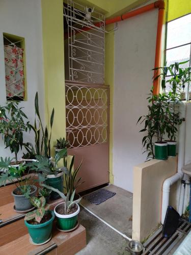 a room with a bunch of potted plants at Zeb's Transient House and Tour in Baguio
