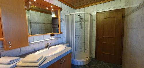 a bathroom with a sink and a shower and a mirror at Haus Stoffenhof in Rosenberg