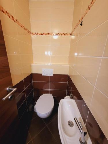 a small bathroom with a toilet and a sink at Kamzik Apartment hill view with garage in Donovaly