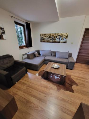 a living room with a couch and a coffee table at Kamzik Apartment hill view with garage in Donovaly
