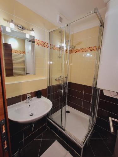 a bathroom with a sink and a shower at Kamzik Apartment hill view with garage in Donovaly