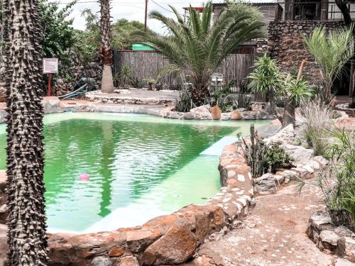 a swimming pool in a garden with a palm tree at Nkisi Guesthouse in Kang