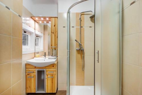W łazience znajduje się umywalka i prysznic. w obiekcie dFive River View Apartment w Budapeszcie