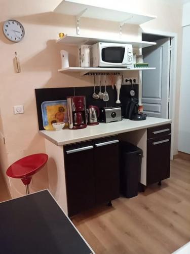 une petite cuisine avec un comptoir et un micro-ondes dans l'établissement Résidence Gascogne, Appartement Rose Boréal, à Eaux-Bonnes