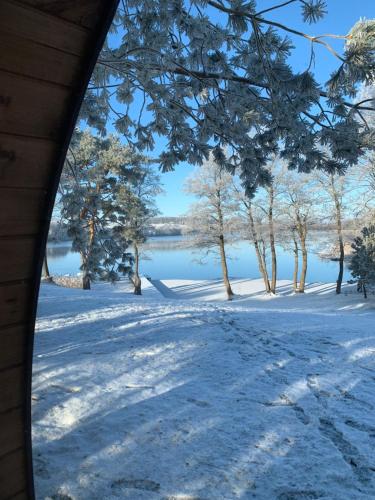 a view from a window of a snow covered yard at Kedras Glamping - Pod tipo nameliai in Prapuntai