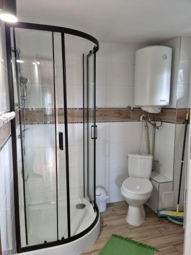 a bathroom with a shower and a toilet at Ostoja Karkonoska in Podgórzyn