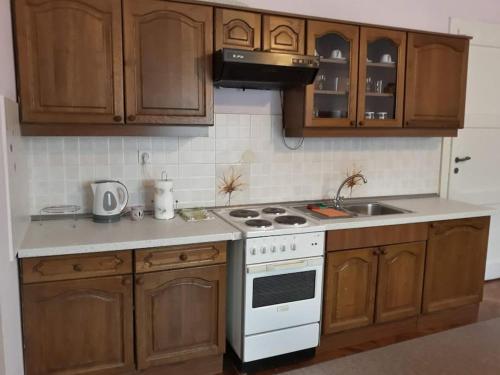 Kuchyňa alebo kuchynka v ubytovaní Apartman Slavonija