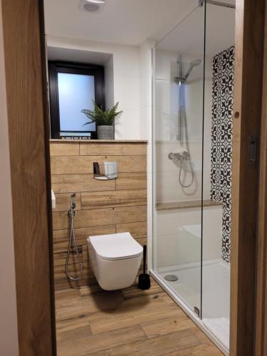 een badkamer met een toilet en een douche bij Villa Pinia in Goczałkowice-Zdrój