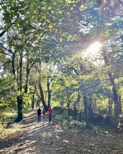 three people walking down a path in the woods at The Kingswood in St Austell