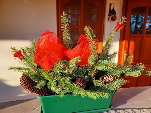 a green pot with a christmas tree in it at Tulipán Ház in Bodony